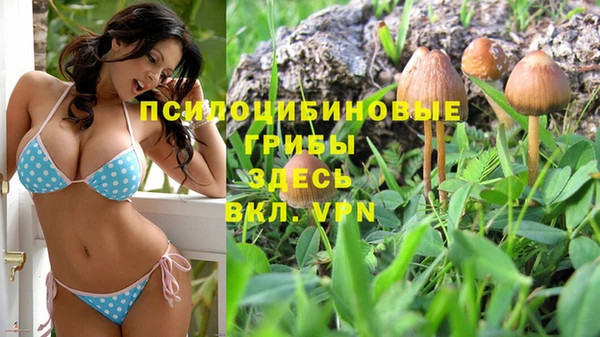 героин Сосновка