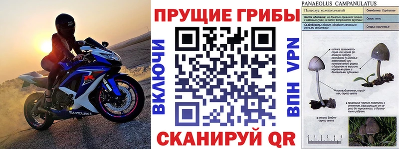 Псилоцибиновые грибы Magic Shrooms  мега как войти  Чадан 